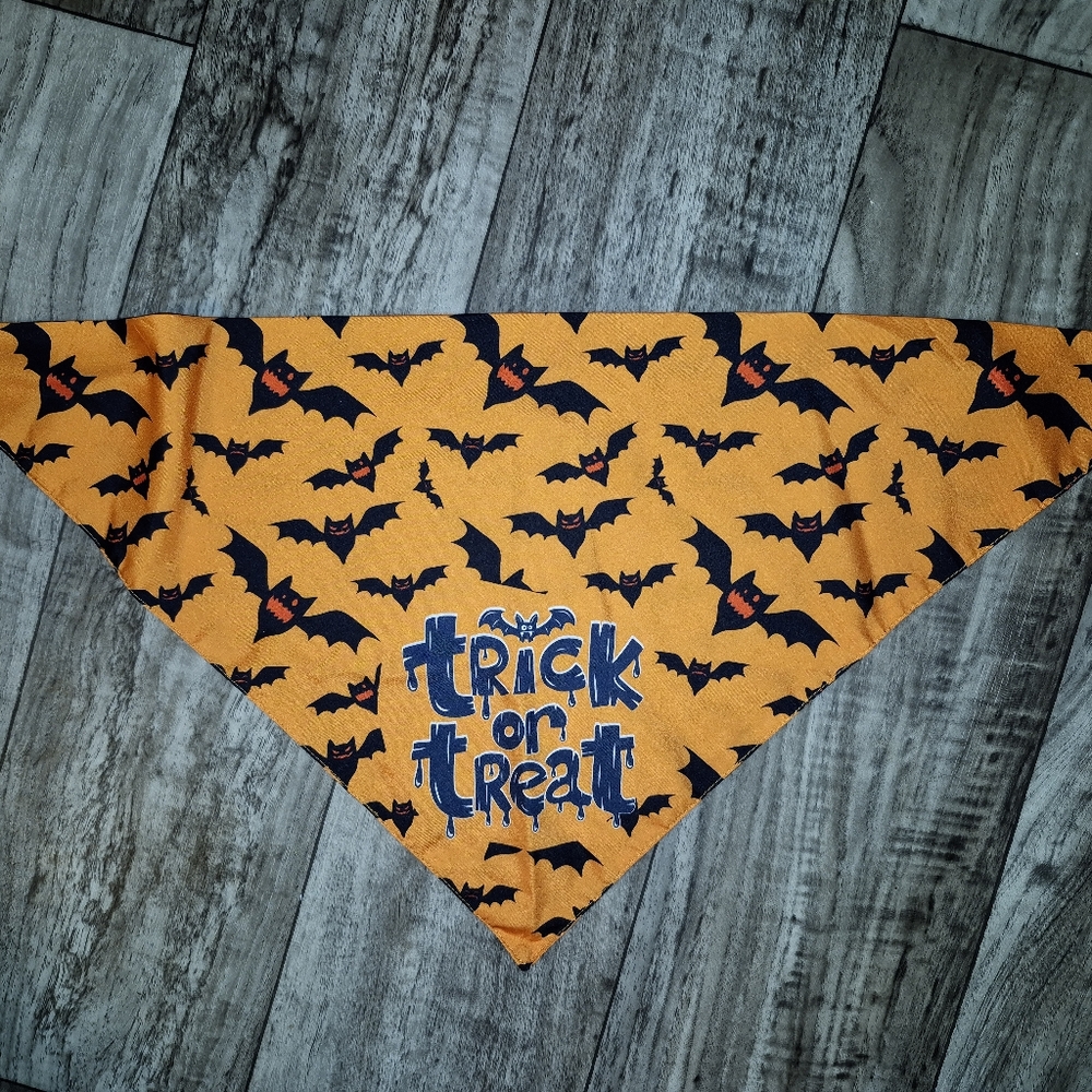 Pet bandana new